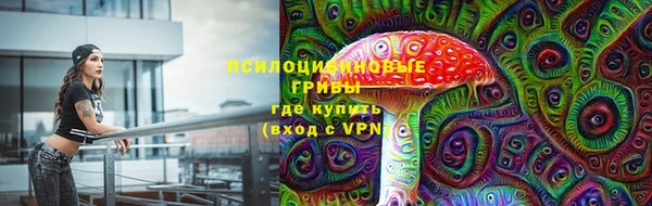 гидропоника Алексеевка