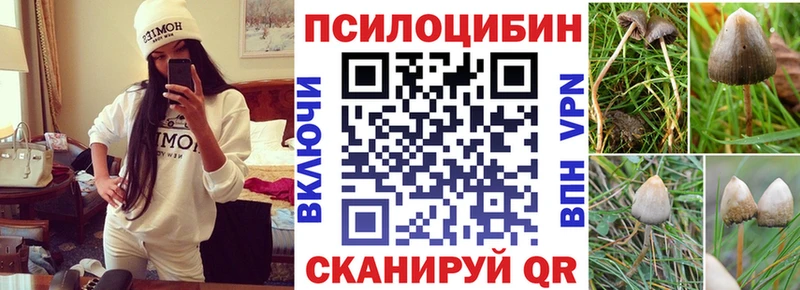 Галлюциногенные грибы прущие грибы  кракен сайт  Алушта 